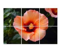 6 Pack Acoustic Wall Panels Sound Absorbing Wall Art acoustic foam orange hibiscus flower orange pictures royalty free photos 72"x48" Sound Proofing Panels for walls Decorative Noise Dampening