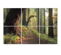 6 Pack Acoustic Wall Panels Sound Absorbing Wall Art acoustic foam Redwood National Park 72"x48" Sound Proofing Panels for walls Decorative Noise Dampening