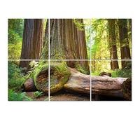 6 Pack Acoustic Wall Panels Sound Absorbing Wall Art acoustic foam redwood national park sequoiass pictures 72"x48" Sound Proofing Panels for walls Decorative Noise Dampening