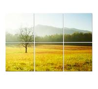 6 Pack Acoustic Wall Panels Sound Absorbing Wall Art acoustic foam Solitary Tree Field Great Smoky Mountains Cades Cove 72"x48" Sound Proofing Panels for walls Decorative Noise Dampening