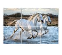 6 Pack Acoustic Wall Panels Sound Absorbing Wall Art acoustic foam White Camargue Horses galloping water 72"x48" Sound Proofing Panels for walls Decorative Noise Dampening