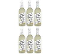 (6 Pack) - Belvoir - Organic Elderflower Presse | 750ml | 6 Pack Bundle