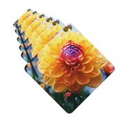 6 Pack Car Air Freshener Beautiful Flower Cute Car Hanging Air Freshener for Automotive Room Decor Gift