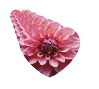 6 Pack Car Air Freshener Floral Dahlia Flower Cute Car Hanging Air Freshener for Automotive Room Decor Gift