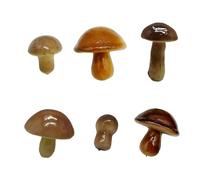 6 Pack Detailed Spume Mushroom Statues Thin Impregnable Plan Flexible Decorative Factors for Home Classroom Use Realistic Spume Mushroom Deck