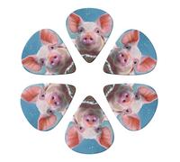 6-Pack Guitar Picks 0.96mm, Funny Second Brother Printed Guitar Plectrums for Acoustic Guitar, Electric Guitar, Bass