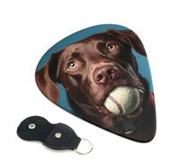 6 Pack Guitar Picks 3 Different Thickness Funny Dog Guitar Plectrums with Organizer Storage Bag Electric Guitars Picks Plectrum for Acoustic Guitars Bass Pick (0.46mm, 0.71mm, 0.96mm)