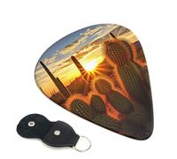 6 Pack Guitar Picks 3 Different Thickness Sunset Cactus in Desert Guitar Plectrums with Organizer Storage Bag Electric Guitars Picks Plectrum for Acoustic Guitars Bass Pick (0.46mm, 0.71mm, 0.96mm)