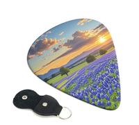 6 Pack Guitar Picks 3 Different Thickness Texas Bluebonnets Scenery Guitar Plectrums with Organizer Storage Bag Electric Guitars Picks Plectrum for Acoustic Guitars Bass Pick (0.46mm, 0.71mm, 0.96mm)