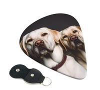 6 Pack Guitar Picks Personalized Guitars Plectrums with Organizer Storage Box cute Labrador Dog Guitar Pick Electric Acoustic Guitars Picks Plectrum for Bass Pick (0.46mm, 0.71mm, 0.96mm)