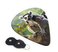 6 Pack Guitar Picks Personalized Guitars Plectrums with Organizer Storage Box Ringtailed Lemur Guitar Pick Electric Acoustic Guitars Picks Plectrum for Bass Pick (0.46mm, 0.71mm, 0.96mm)