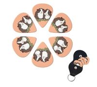 6 Pack Guitar Picks Plectrums with Organizer Storage Box 0.46 0.96 0.71 mm Personalized Guitar Pick Set Two guinea pigs hanging out Bass Pick Guitar Accessories for Acoustic Guitar Ukulele