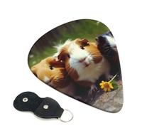 6 Pack Guitar Picks With Holder, Personalized Guitar Plectrums Non-Slip Electric Ukulele Bass Pick Guinea Pigs Funny Portable 0.96mm Guitar Accessories