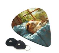 6 Pack Lazy Home Style Guinea Pig Guitar Picks - 0.46 0.71 0.93 mm Includes Cool Guitar Picks Thin Medium Heavy Thickness, Electric Guitar Picks for Acoustic Guitar Bass Ukulele