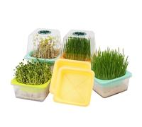 6 Pack Microgreen Growing Trays, Sprouting Tray with Humidity Dome, 1.2 mm Small Mesh Holes, BPA Free, Sprouter Kit for Growing Mirco Seeds, Like Broccoli, Alfalfa, Radish, Clover - Clear Base