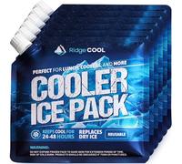 6 Pack Refillable Ice Packs for Cooler, Long Lasting Reusable Freezer Packs