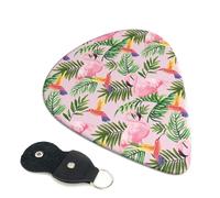 6 Pack Tropical Flamingo Hummingbird Guitar Picks - 0.46 0.71 0.93 mm Includes Cool Guitar Picks Thin Medium Heavy Thickness, Electric Guitar Picks for Acoustic Guitar Bass Ukulele