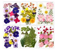 6 Packs Dried Pressed Flowers for Resin Crafts, Real Nature Dried Flowers and Leaves, Vacuum Sealed Dry Flowers for DIY Jewelry Candle Soap Vase Making Nail Card Scrapbook Art Craft Eternity Summer