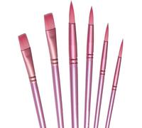 6 PCS Acrylic & Watercolor Paint Brush Set - Nylon Hair All-Purpose Brushes for Oil Painting | Beginner-Friendly Kits (Pink)