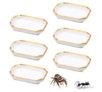 6 Pcs Ant Mini Feeding Dish Cricket Plastic Eating Basin for Ant Scorpion Cricket Snail Crab Manti Millipede Small Insects