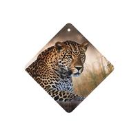 6 Pcs Car Air Fresheners,Funny Hanging Car Air Fresheners African Animal Leopard Cute Long Lasting Scented Mirror Hanging Decoration Ornaments Gift Interior Decor Accessories For Men Women