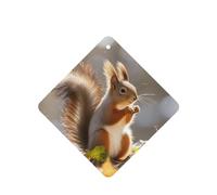 6 Pcs Car Air Fresheners,Funny Hanging Car Air Fresheners Autumn Squirrel Cute Long Lasting Scented Mirror Hanging Decoration Ornaments Gift Interior Decor Accessories For Men Women