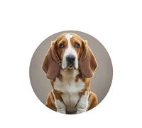 6 Pcs Car Air Fresheners,Funny Hanging Car Air Fresheners Basset Hound Cute Long Lasting Scented Mirror Hanging Decoration Ornaments Gift Interior Decor Accessories For Men Women