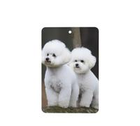 6 Pcs Car Air Fresheners,Funny Hanging Car Air Fresheners Bichon Frise Cute Long Lasting Scented Mirror Hanging Decoration Ornaments Gift Interior Decor Accessories For Men Women