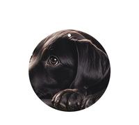6 Pcs Car Air Fresheners,Funny Hanging Car Air Fresheners Black Labrador Puppy Cute Long Lasting Scented Mirror Hanging Decoration Ornaments Gift Interior Decor Accessories For Men Women