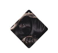 6 Pcs Car Air Fresheners,Funny Hanging Car Air Fresheners Black Labrador Puppy Cute Long Lasting Scented Mirror Hanging Decoration Ornaments Gift Interior Decor Accessories For Men Women