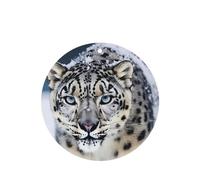 6 Pcs Car Air Fresheners,Funny Hanging Car Air Fresheners Blue Eyed Snow Leopard Cute Long Lasting Scented Mirror Hanging Decoration Ornaments Gift Interior Decor Accessories For Men Women