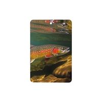 6 Pcs Car Air Fresheners,Funny Hanging Car Air Fresheners Brook Trout Fly Fishing Cute Long Lasting Scented Mirror Hanging Decoration Ornaments Gift Interior Decor Accessories For Men Women