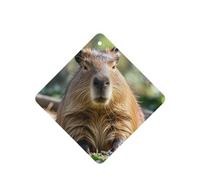 6 Pcs Car Air Fresheners,Funny Hanging Car Air Fresheners Capybara With Eyes Closed Cute Long Lasting Scented Mirror Hanging Decoration Ornaments Gift Interior Decor Accessories For Men Women