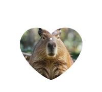 6 Pcs Car Air Fresheners,Funny Hanging Car Air Fresheners Capybara With Eyes Closed Cute Long Lasting Scented Mirror Hanging Decoration Ornaments Gift Interior Decor Accessories For Men Women