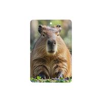 6 Pcs Car Air Fresheners,Funny Hanging Car Air Fresheners Capybara With Eyes Closed Cute Long Lasting Scented Mirror Hanging Decoration Ornaments Gift Interior Decor Accessories For Men Women