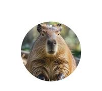 6 Pcs Car Air Fresheners,Funny Hanging Car Air Fresheners Capybara With Eyes Closed Cute Long Lasting Scented Mirror Hanging Decoration Ornaments Gift Interior Decor Accessories For Men Women