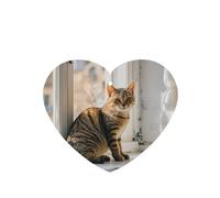 6 Pcs Car Air Fresheners,Funny Hanging Car Air Fresheners Cat Sitting On Windowsill Cute Long Lasting Scented Mirror Hanging Decoration Ornaments Gift Interior Decor Accessories For Men Women