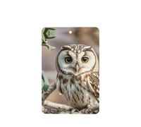 6 Pcs Car Air Fresheners,Funny Hanging Car Air Fresheners Coffee Bean Owl Cute Long Lasting Scented Mirror Hanging Decoration Ornaments Gift Interior Decor Accessories For Men Women