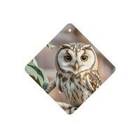 6 Pcs Car Air Fresheners,Funny Hanging Car Air Fresheners Coffee Bean Owl Cute Long Lasting Scented Mirror Hanging Decoration Ornaments Gift Interior Decor Accessories For Men Women
