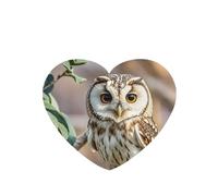 6 Pcs Car Air Fresheners,Funny Hanging Car Air Fresheners Coffee Bean Owl Cute Long Lasting Scented Mirror Hanging Decoration Ornaments Gift Interior Decor Accessories For Men Women
