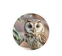 6 Pcs Car Air Fresheners,Funny Hanging Car Air Fresheners Coffee Bean Owl Cute Long Lasting Scented Mirror Hanging Decoration Ornaments Gift Interior Decor Accessories For Men Women