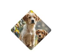 6 Pcs Car Air Fresheners,Funny Hanging Car Air Fresheners Cute Dogs Animal Cute Long Lasting Scented Mirror Hanging Decoration Ornaments Gift Interior Decor Accessories For Men Women