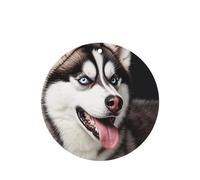 6 Pcs Car Air Fresheners,Funny Hanging Car Air Fresheners Cute Husky Dog Cute Long Lasting Scented Mirror Hanging Decoration Ornaments Gift Interior Decor Accessories For Men Women