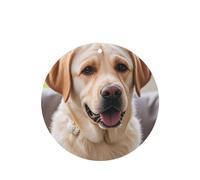 6 Pcs Car Air Fresheners,Funny Hanging Car Air Fresheners Cute Labrador Dog Cute Long Lasting Scented Mirror Hanging Decoration Ornaments Gift Interior Decor Accessories For Men Women