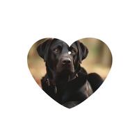 6 Pcs Car Air Fresheners,Funny Hanging Car Air Fresheners Cute Labrador Dog Cute Long Lasting Scented Mirror Hanging Decoration Ornaments Gift Interior Decor Accessories For Men Women