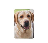 6 Pcs Car Air Fresheners,Funny Hanging Car Air Fresheners Cute Labrador Dog Cute Long Lasting Scented Mirror Hanging Decoration Ornaments Gift Interior Decor Accessories For Men Women