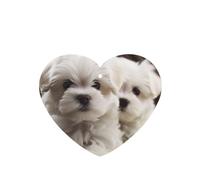 6 Pcs Car Air Fresheners,Funny Hanging Car Air Fresheners Cute Maltese Puppy Cute Long Lasting Scented Mirror Hanging Decoration Ornaments Gift Interior Decor Accessories For Men Women