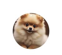 6 Pcs Car Air Fresheners,Funny Hanging Car Air Fresheners Cute Pomeranian Dog Cute Long Lasting Scented Mirror Hanging Decoration Ornaments Gift Interior Decor Accessories For Men Women
