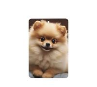 6 Pcs Car Air Fresheners,Funny Hanging Car Air Fresheners Cute Pomeranian Dog Cute Long Lasting Scented Mirror Hanging Decoration Ornaments Gift Interior Decor Accessories For Men Women