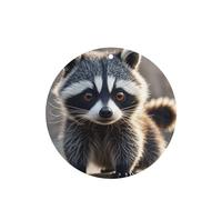 6 Pcs Car Air Fresheners,Funny Hanging Car Air Fresheners Cute Raccoon Cute Long Lasting Scented Mirror Hanging Decoration Ornaments Gift Interior Decor Accessories For Men Women